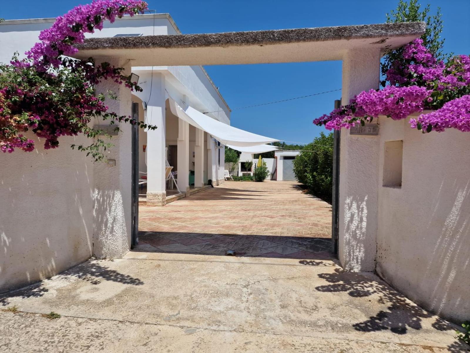 Villa Carmela A Сан-Пьетро-ин-Беванья Экстерьер фото