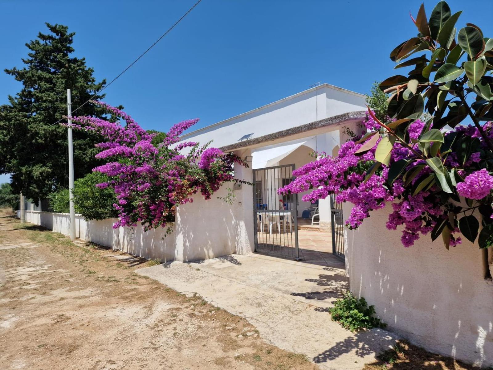 Villa Carmela A Сан-Пьетро-ин-Беванья Экстерьер фото