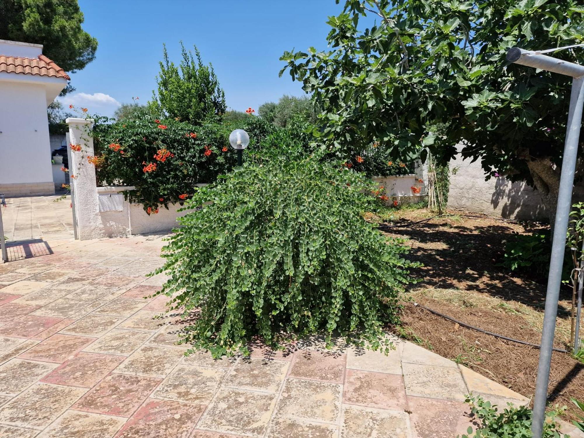 Villa Carmela A Сан-Пьетро-ин-Беванья Экстерьер фото